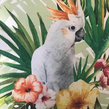 Ed&pat's Flat * El Médano